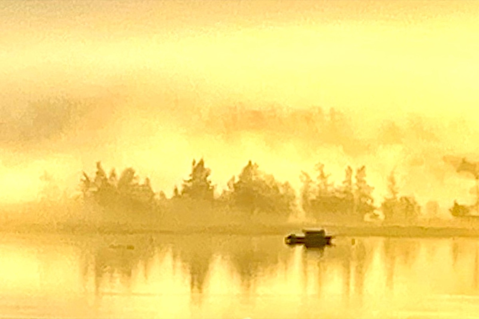 Golden morning fog over the water on Whidbey Island